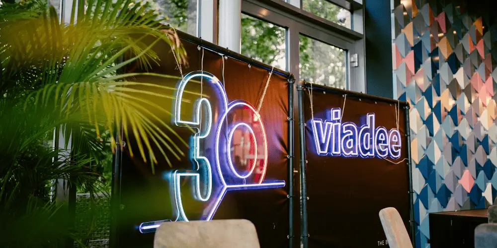 30 Jahre viadee!