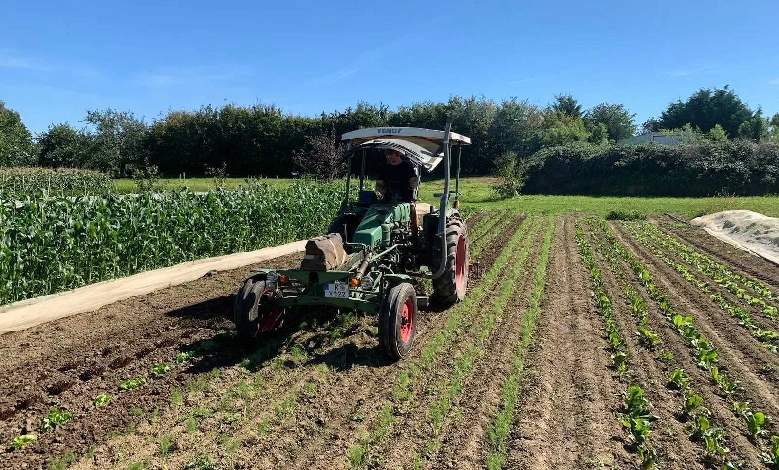 Traktor