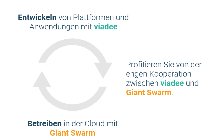 Kooperation viadee und Gitan Swarm