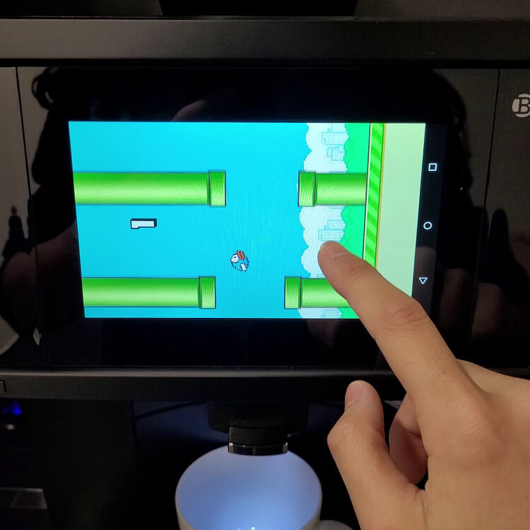 Flappy Bird