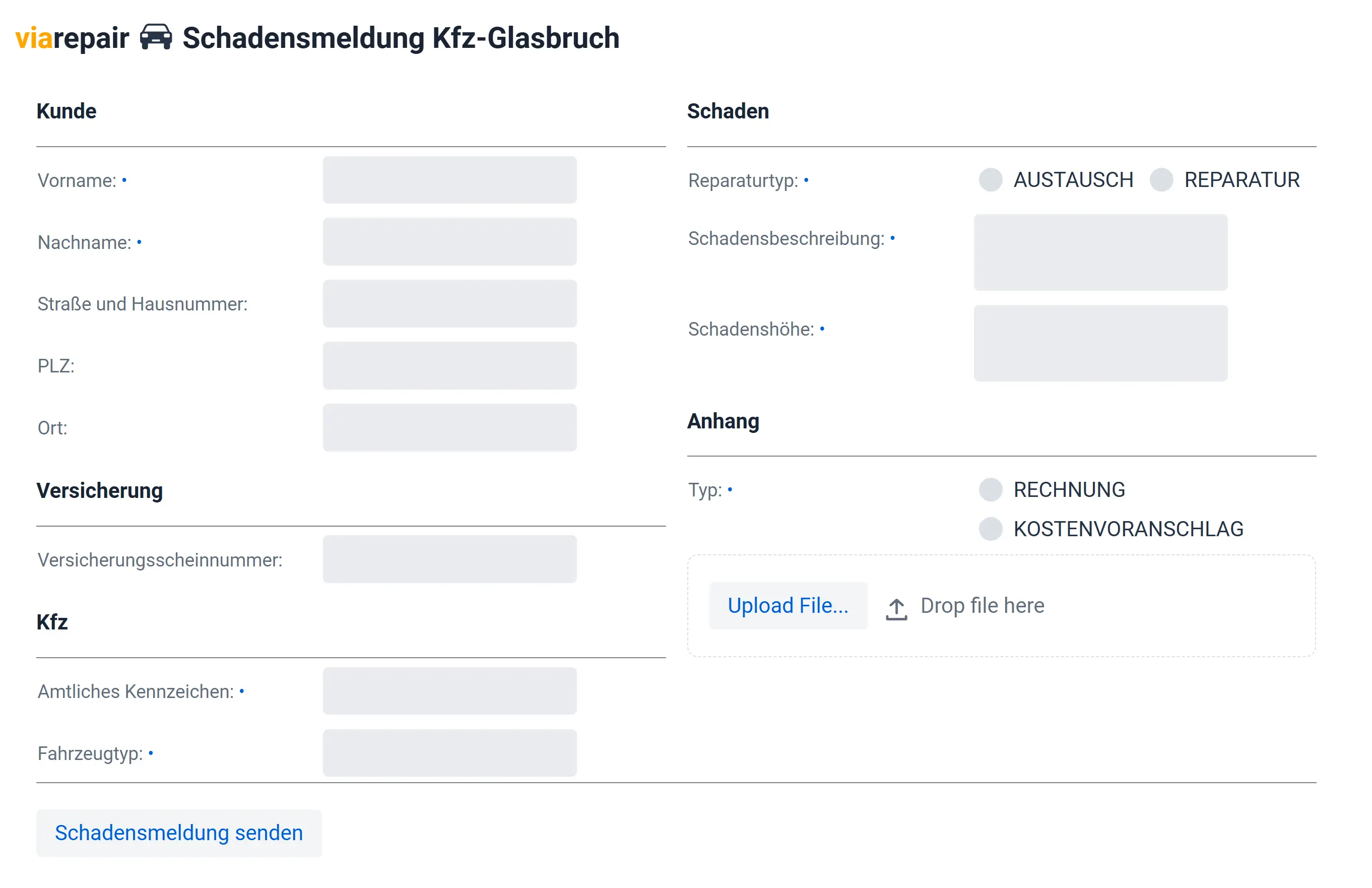 Eingabemaske des Online-Abrechnungssystems: Verpflichtende Felder sind durch einen blauen Punkt gekennzeichnet.
